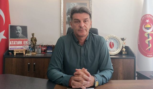 Can dostları için yaz alarmı: Sıcak çarpmasına dikkat