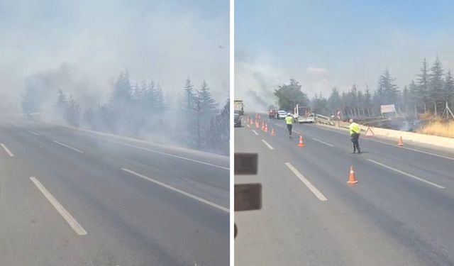 Eskişehir-Bursa kara yolunda yangın paniği