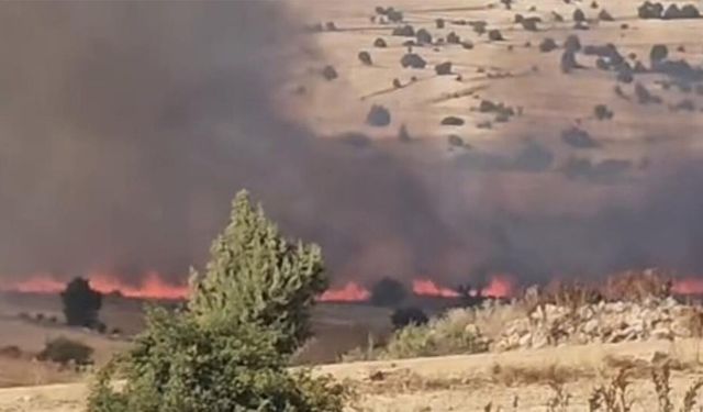 Eskişehir Seyitgazi'de korkutan yangın