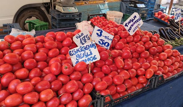 Eskişehir'de domates bollaştı, fiyatlar geriledi