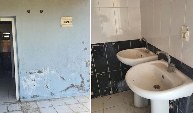 Eskişehir Tepebaşı Doğal Yaşam Parkı’nda tepki çeken görüntüler