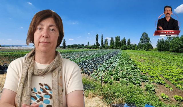 Eskişehirli çiftçi sahadan kaçıyor