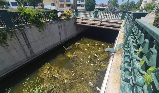 Porsuk Çayı'nda duyarsızlık örneği