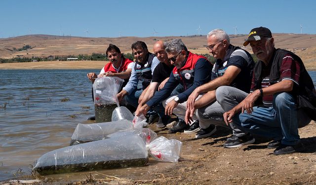 Eskişehir Keskin Göleti’nde balık popülasyonu için önemli adım