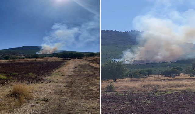 Eskişehir Sivrihisar’da ormanlık alanda yangın çıktı: Ekipler bölgede