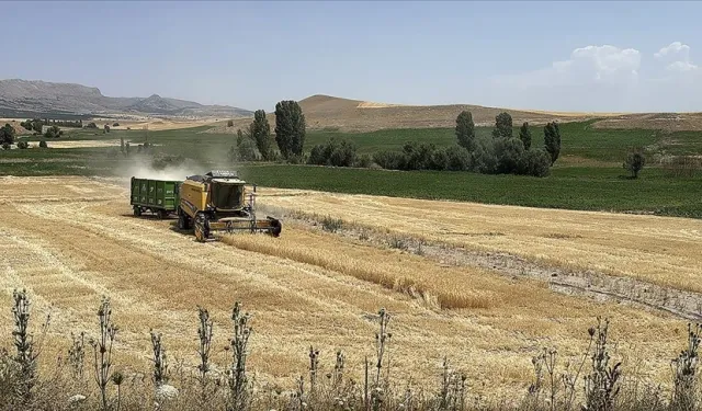 Eskişehir'de tarım arazisinde mühimmat bulundu: Jandarma alarma geçti