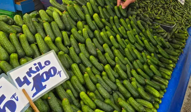 Eskişehir'de turşu sezonu açıldı: Haftaya 10 lira zam
