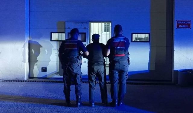 Eskişehir'de 'Anadolu Mirası' operasyonu: Çok sayıda tarihi eser ele geçirildi