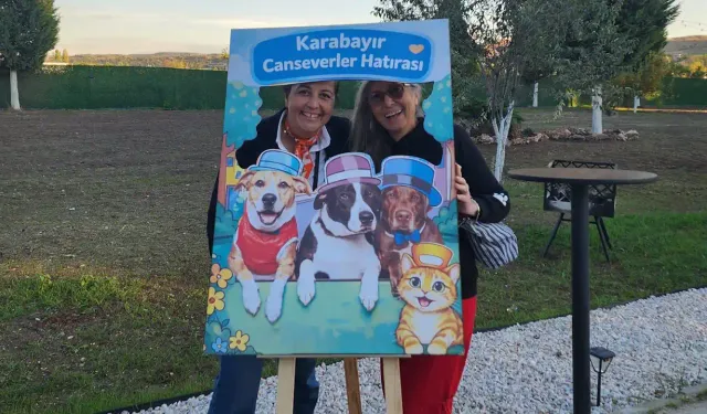 Eskişehir Karabayır’da sokak hayvanları için dayanışma