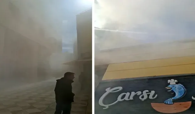 Eskişehir'de balıkçı dükkanının bacası alev aldı