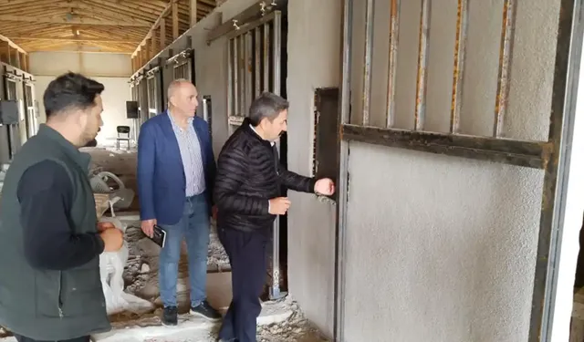 Eskişehir’de merak edilen çalışma: 36 Atlık Barınak Projesi’nde çalışmalar hangi aşamada?