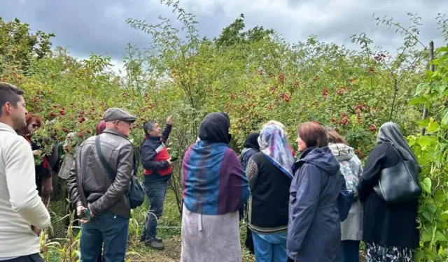Eskişehirli kadın çiftçiler Kütahya’da kuşburnu ve ahududu üretimini inceledi
