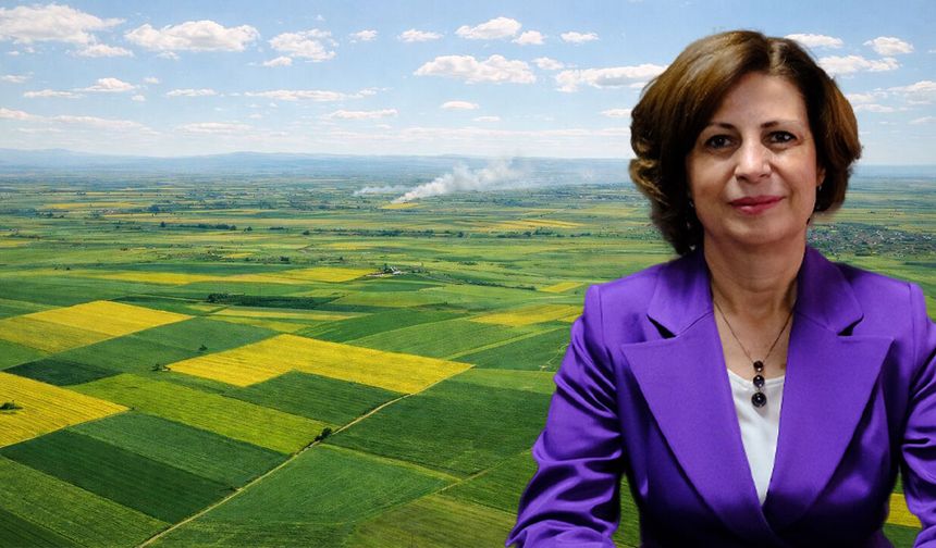 Başkan Ünlüce duyurdu: Alpu Ovası için karar verildi