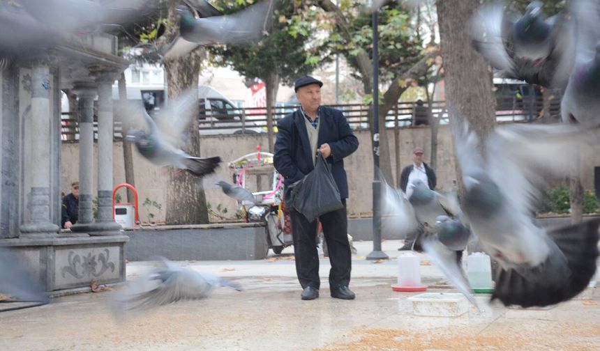 Bilecik'te meydan bayramda kuşlara kaldı