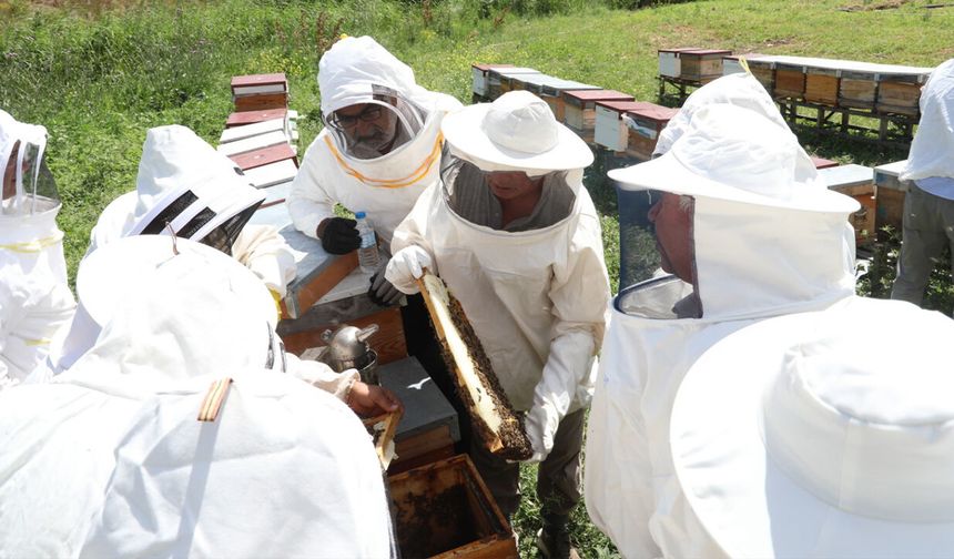 Eskişehir'de Arıköy Projesi eğitimleri başladı