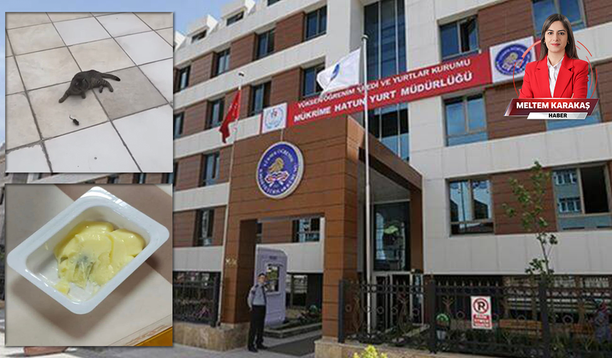 Eskişehir’de KYK yurdunda mide bulandıran görüntüler: “Öğrenciler bunu mu hak ediyor?”