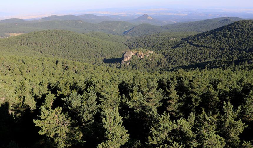 Karar Resmi Gazete'de yayınlandı: Eskişehir de etkilenecek