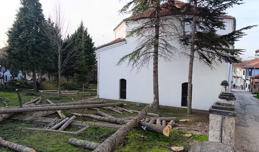 Eskişehir'de cami bahçesinde bulunan 25 ağaç neden kesildi?