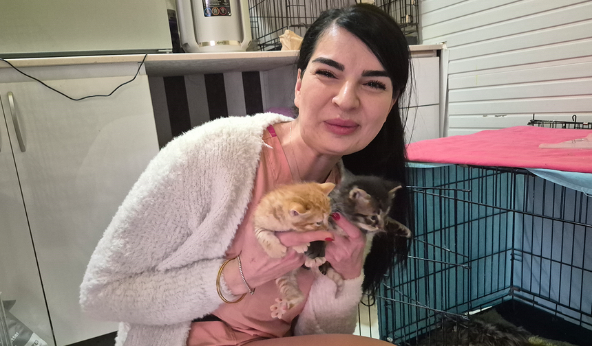 Eskişehir’de kliniğe sığınan hamile kedi 4 yavru doğurdu