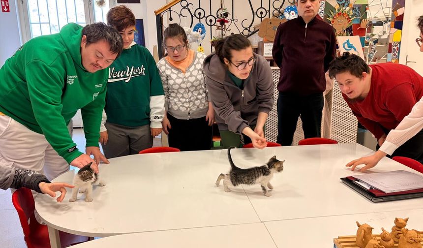 Eskişehir'de özel çocuklardan sokak hayvanlarına sıcak yuva