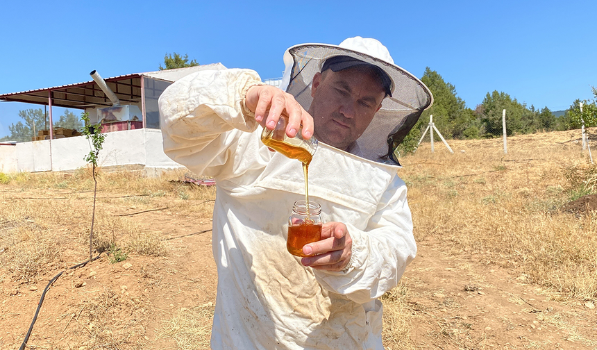 Eskişehir'in balı dünyada başarısını tescilledi