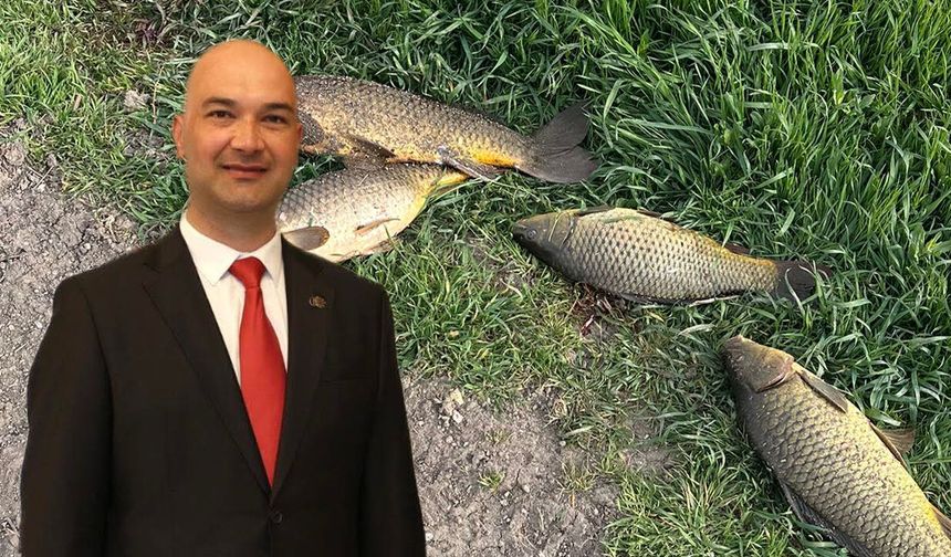 İnönü'de neler oluyor: Halil Dündar'dan balık ölümleri ile ilgili açıklama