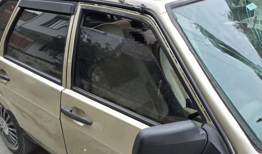 Park halindeki araçta ölü bulundu