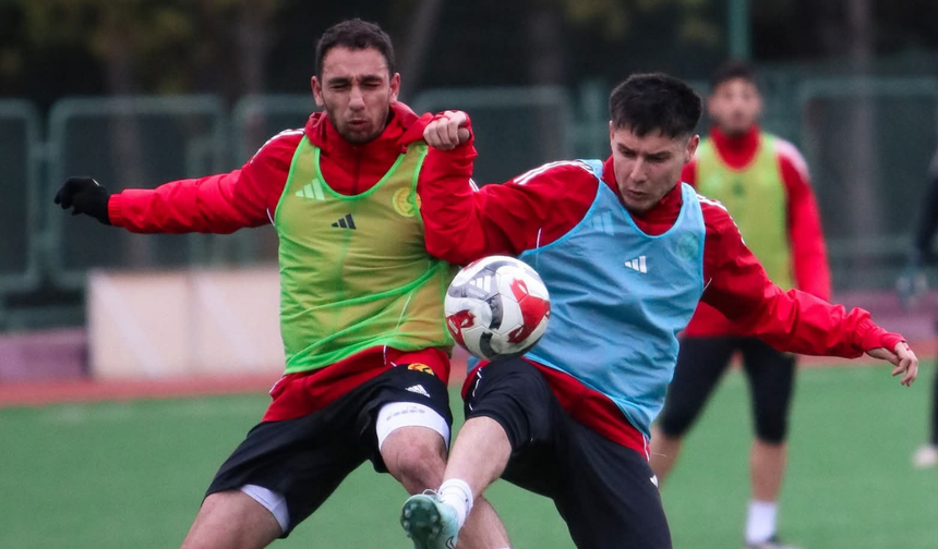 Eskişehirspor’da sentetik saha çalışması