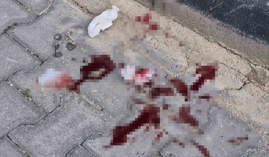 Eskişehir'de 16 yaşındaki çocuk cadde ortasında bıçaklandı