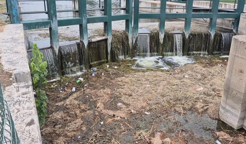 Eskişehir'de Porsuk Çayı'nın tüm pisliği bu noktada birikiyor