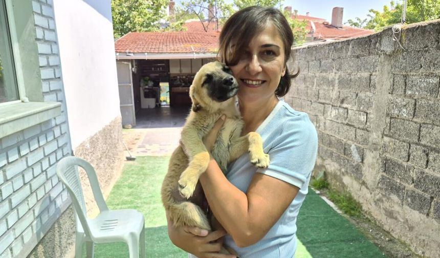 Eskişehir'de iki gönüllü yüzlerce sokak hayvanına umut oluyor