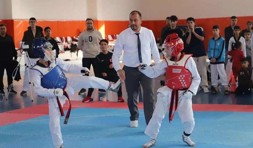 Taekwondo Küçük-Minik Kız-Erkek İl Birinciliği müsabakaları başlıyor