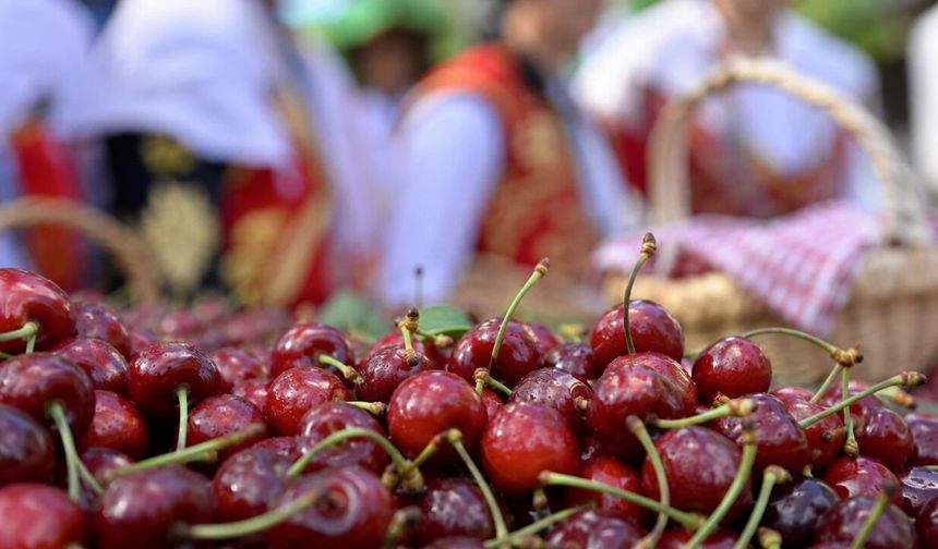 46. Geleneksel Mihalıççıklılar Günü ve Kiraz Festivali ertelendi