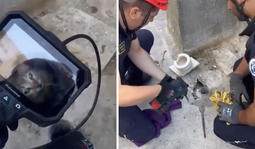 Eskişehir'de itfaiyeden hayat kurtaran müdahale: Yavru kedi 5 metre derinden çıkarıldı