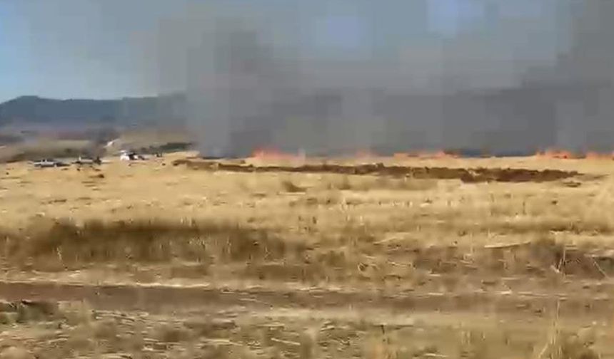 Eskişehir’de tarım arazisinde yangın paniği