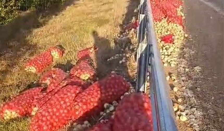 Eskişehir yolunda soğan yüklü kamyon devrildi: 2 yaralı