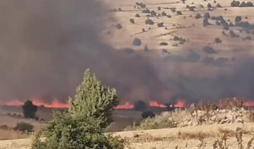 Eskişehir Seyitgazi'de korkutan yangın