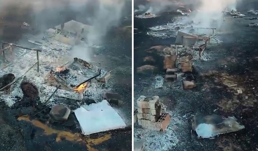 Eskişehir’de arılık yangını: Kovanlar alev aldı, çok sayıda arı öldü