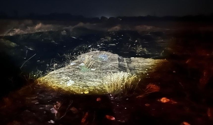 Eskişehir’de elektrik tellerine çarpan kuş yangına neden oldu