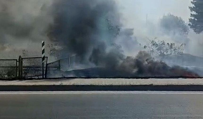 Eskişehir’de otluk alanda alevler yükseldi