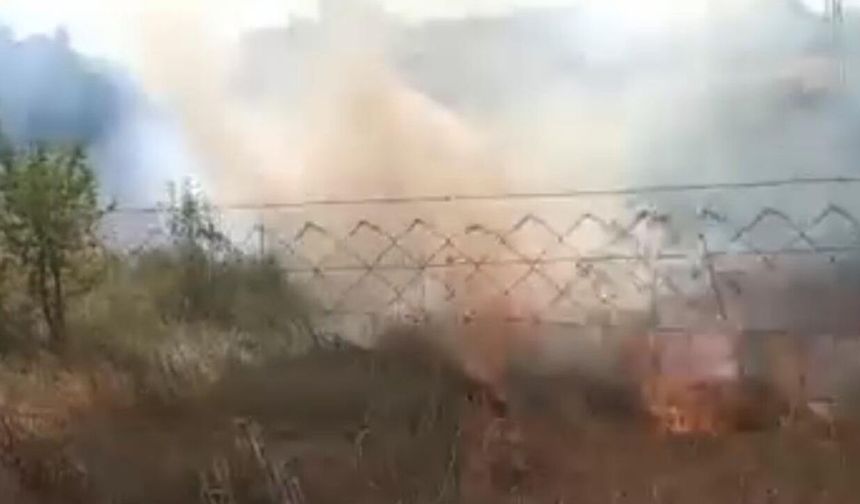Eskişehir’de otluk alanda yangın: Meyve ağaçları zarar gördü