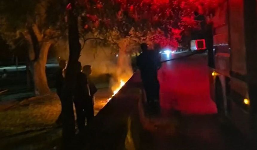 Eskişehir’de parkta şüpheli yangın