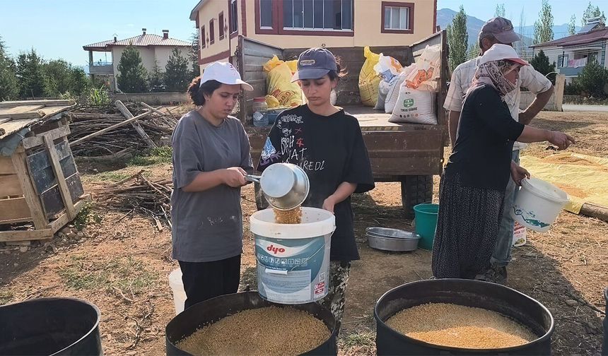 Eskişehir’de üniversite eğitimi alıyorlar, yaz tatilinde aileleriyle birlikte üretiyorlar