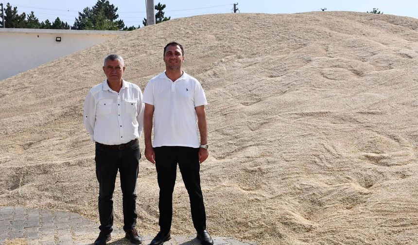 Hakan Karabacak açıkladı: Beylikova’da hasat rekor seviyeye çıktı