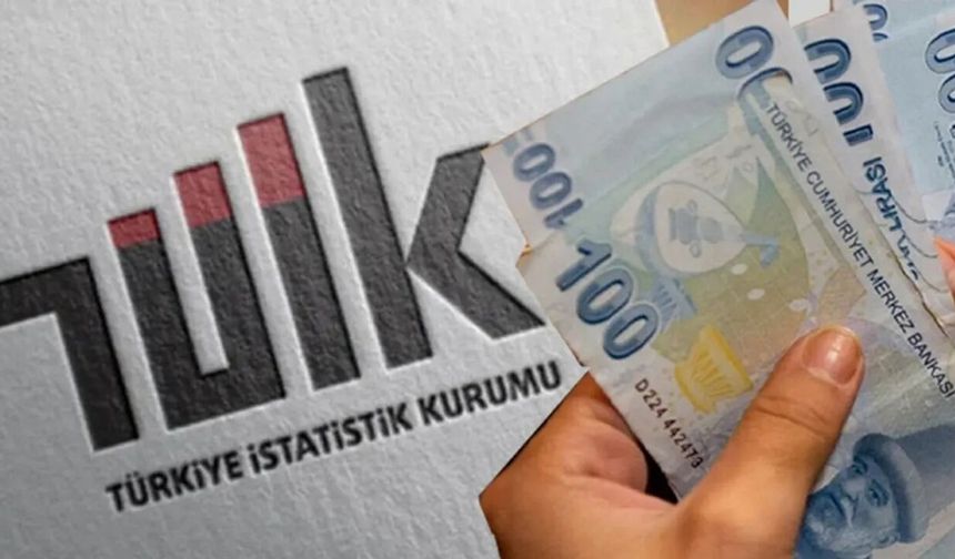 TÜİK Temmuz ayı enflasyonunu açıkladı