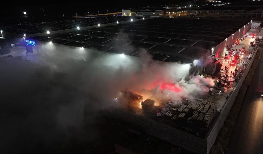 Europen'de çıkan yangın yoğun uğraşlar sonucu söndürüldü