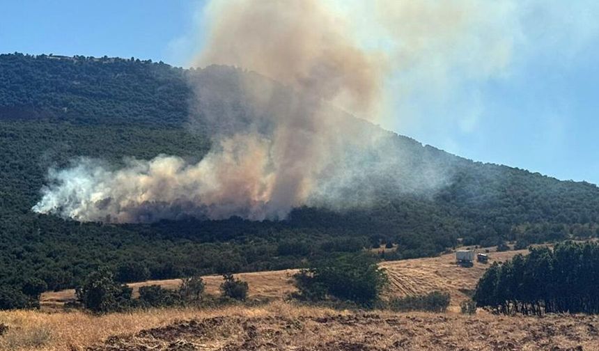 Eskişehir’de korkutan orman yangını! 2 helikopter yangın bölgesine ulaştı