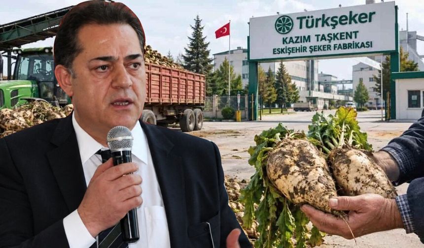 Pancar üreticisinin gözü fiyatta: Beklenti ton başına en az 4500 TL
