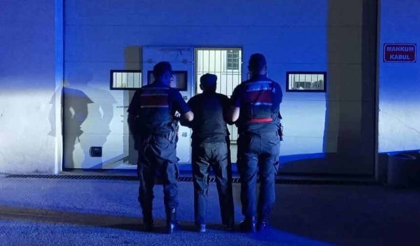 Eskişehir'de 'Anadolu Mirası' operasyonu: Çok sayıda tarihi eser ele geçirildi