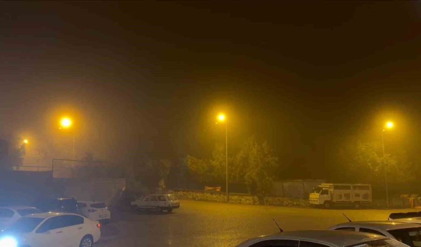Sivrihisar'da sağanak ve sis hayatı olumsuz etkiledi